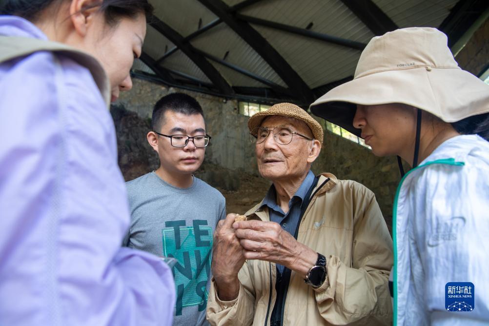 双王扯胡子秘籍